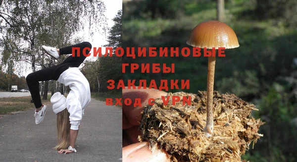 крисы Магас
