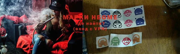 крисы Магас