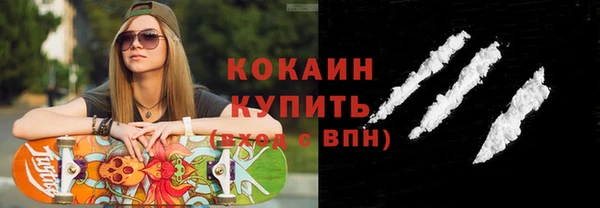 крисы Магас