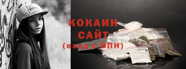 крисы Магас