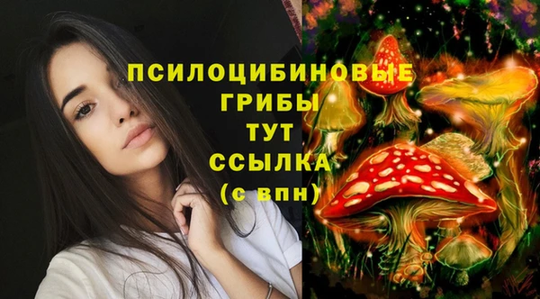МДМА Майский