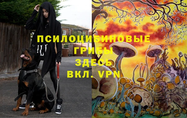 таблы Магадан