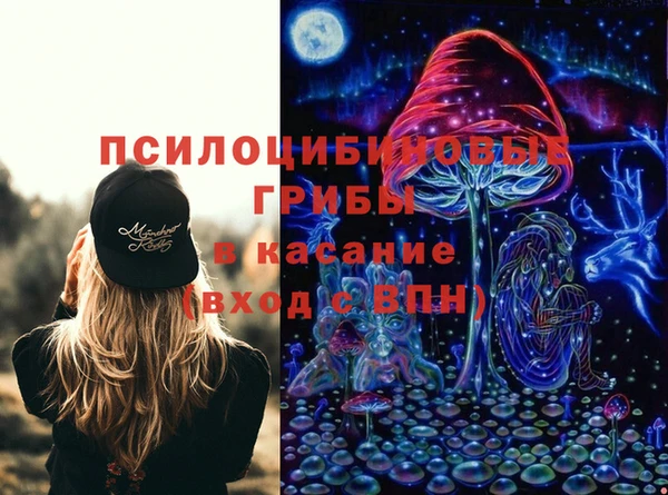 крисы Магас