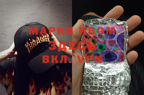 крисы Магас