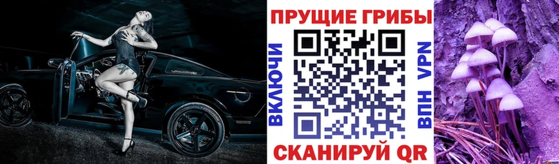 Псилоцибиновые грибы GOLDEN TEACHER  Купить где  Лабинск 